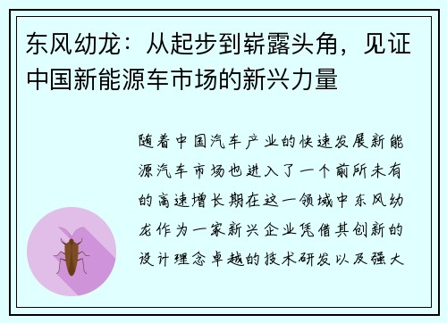 东风幼龙：从起步到崭露头角，见证中国新能源车市场的新兴力量